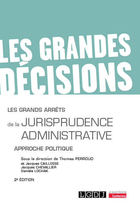 Les grands arrêts de la jurisprudence administrative, Approche politique