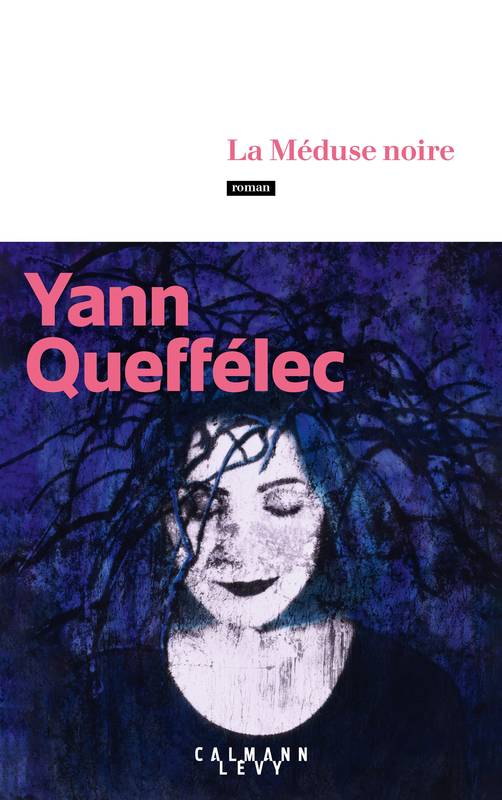 Livres Littérature et Essais littéraires Romans contemporains Francophones La Méduse noire Yann Queffélec