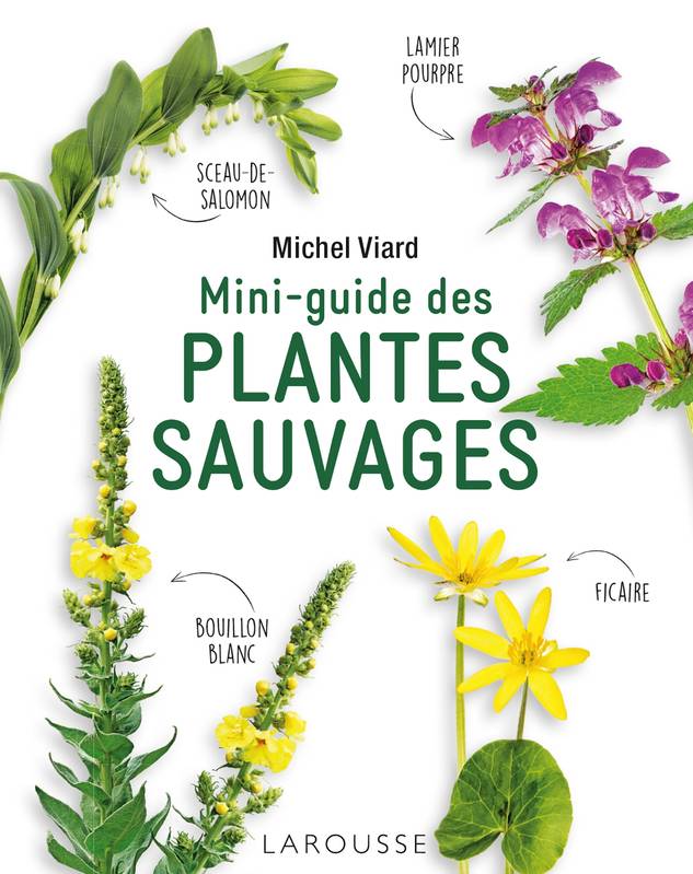 Livres Écologie et nature Nature Jardinage Mini-guide des plantes sauvages Michel Viard