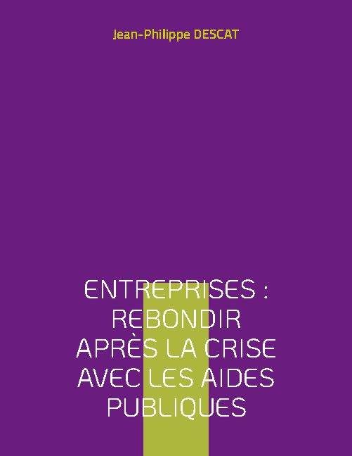 Entreprises, Rebondir après la crise avec les aides publiques