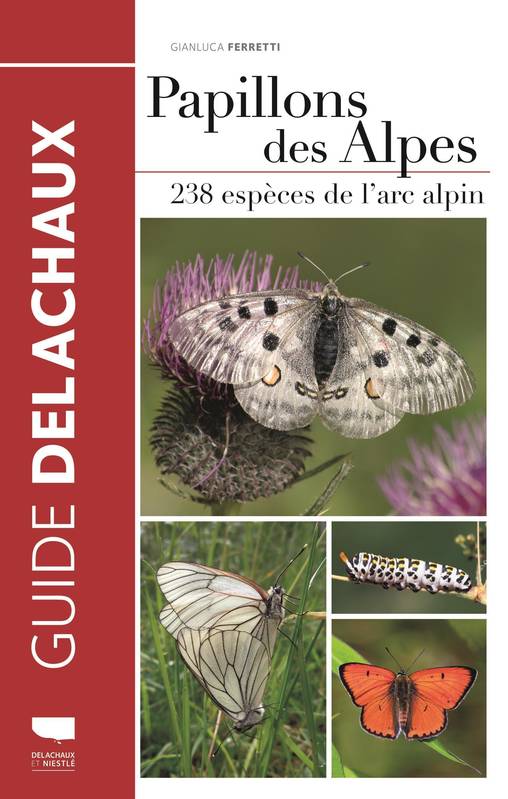 Papillons des Alpes, 238 espèces de l'arc alpin