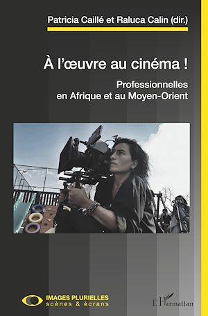 A l'oeuvre au cinéma !, Professionnelles en Afrique et au Moyen-Orient