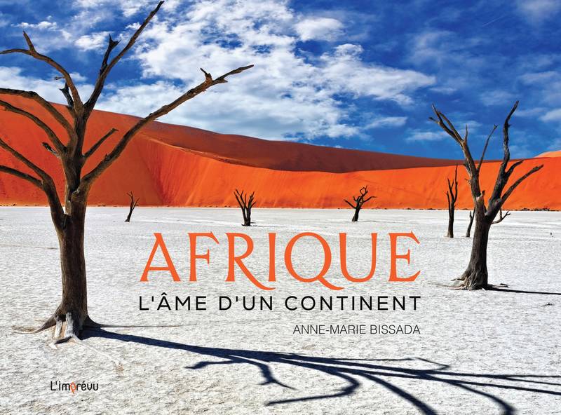 Livres Loisirs Voyage Beaux livres Afrique. L'âme d'un continent, L'âme d'un continent Anne-Marie Bissada