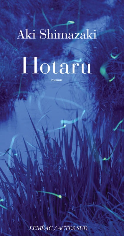 Le poids des secrets, Hotaru, Roman