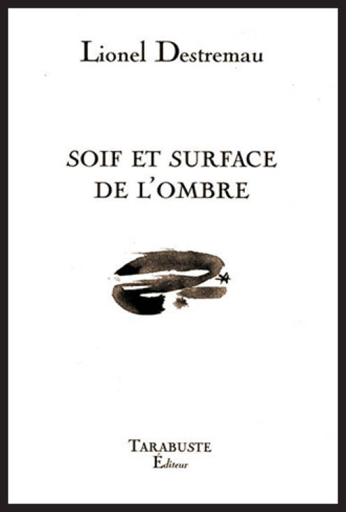 SOIF ET SURFACE DE L'OMBRE - Lionel Destremeau