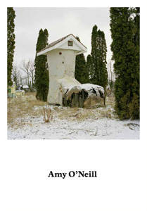 Amy O'Neill -  Suburban Imagination