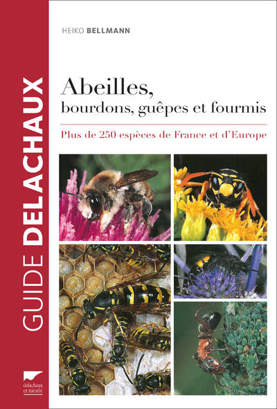 Abeilles, bourdons, guêpes et fourmis, Plus de 250 espèces de France et d'Europe