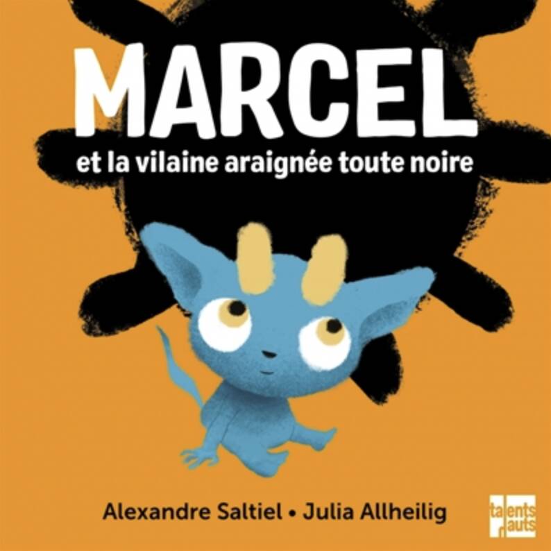 Marcel et la vilaine araignée toute noire