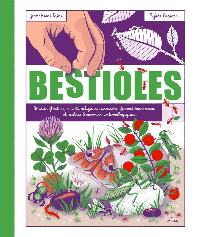 Livres Jeunesse de 6 à 12 ans Documentaires Nature et environnement Bestioles, D'après les "Souvenirs entomologiques" de Jean Henri Fabre Jean-Henri Fabre