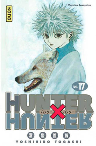 Livres Mangas Shonen Hunter x Hunter., 17, Hunter X Hunter - Tome 17 Yoshihiro Togashi