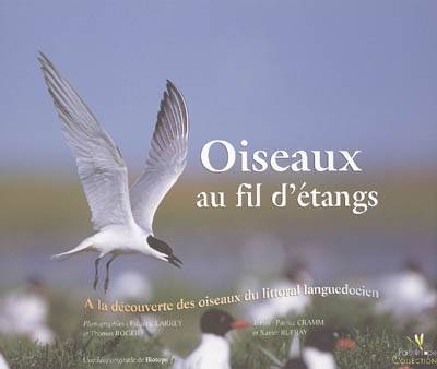 Oiseaux au fil d'étangs, à la découverte des oiseaux du littoral languedocien