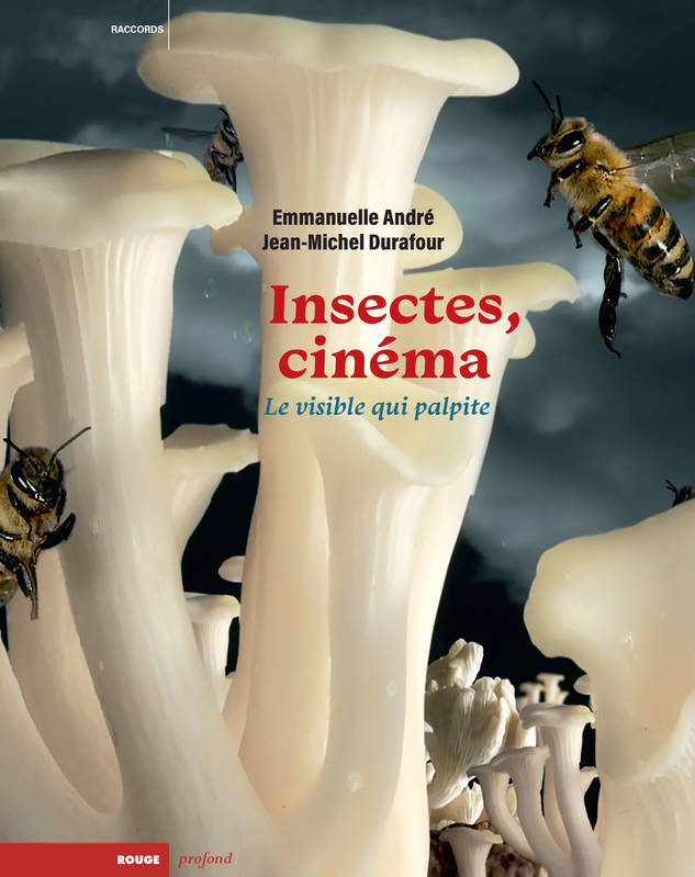 Insectes et cinéma - Le visible qui palpite