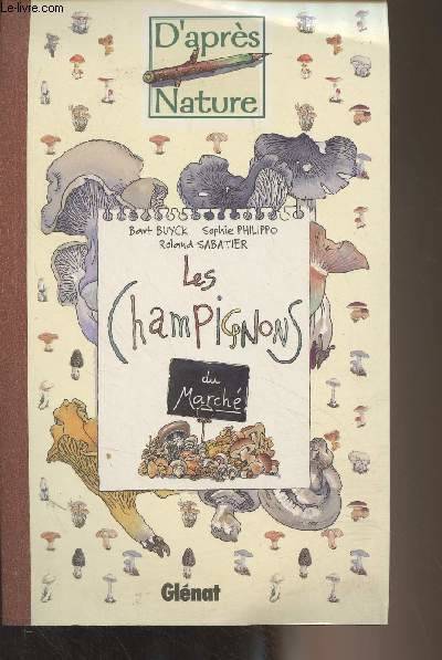 Les champignons du marché - 