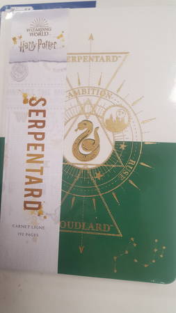 Harry Potter constellation / carnet Serpentard