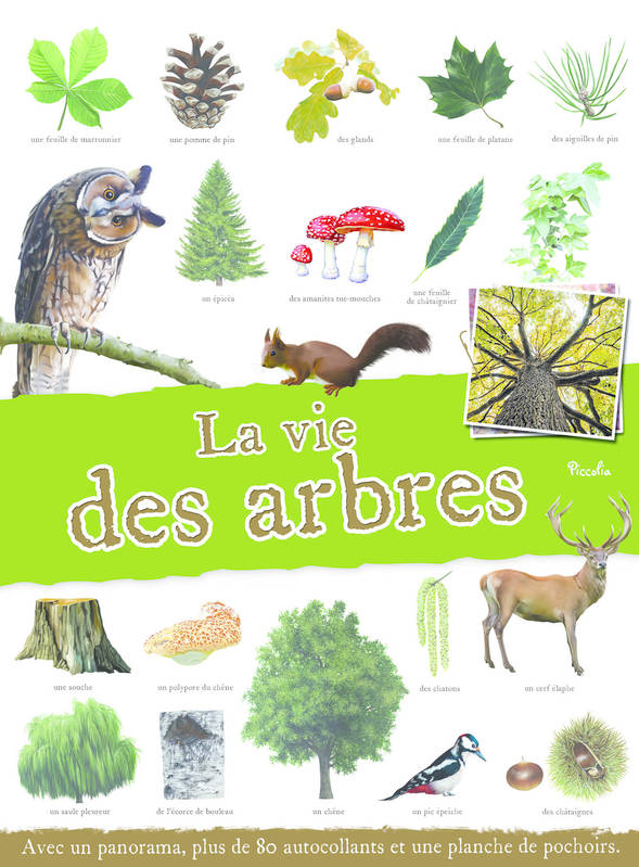 Jeux et Jouets Loisirs créatifs Pochettes créatives Stickers et gommettes La vie des arbres FARNESI GIORGIA