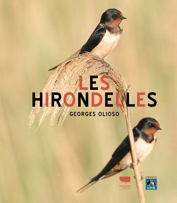 Les hirondelles