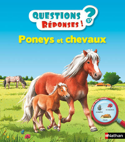 Poneys et chevaux