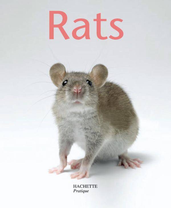 Livres Écologie et nature Nature Faune Rats Gerd Ludwig