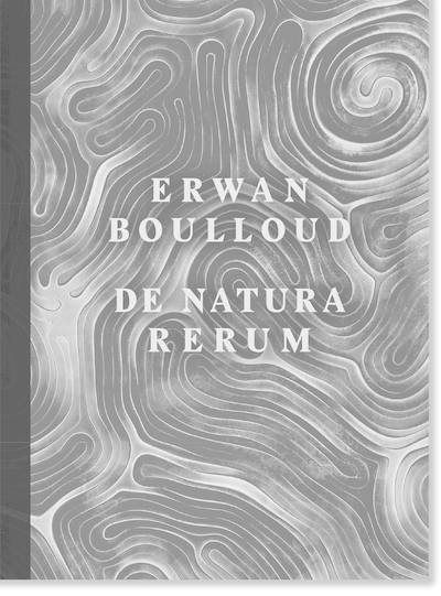 Livres Arts Beaux-Arts Sculpture De Natura Rerum Erwan Boulloud