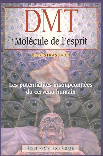 Livres Dictionnaires et méthodes de langues Langue française D.M.T, les potentialités insoupçonnées du cerveau humain Rick Strassman