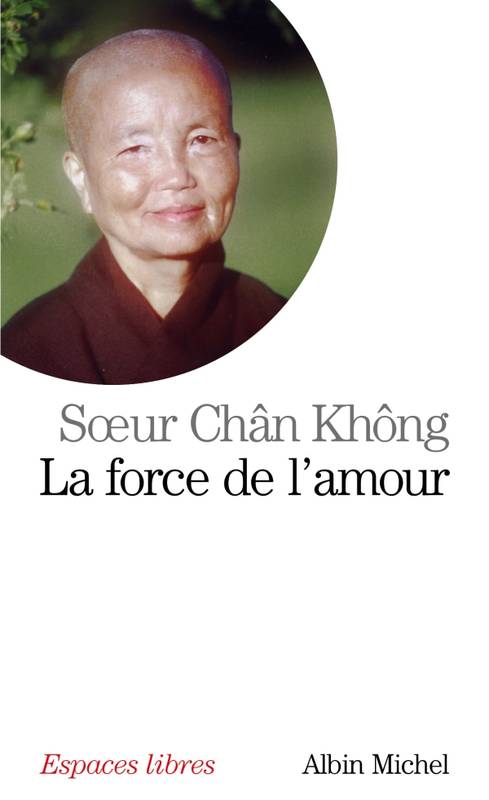 199, La Force de l'amour, Une bouddhiste dans le Viet-nam en guerre
