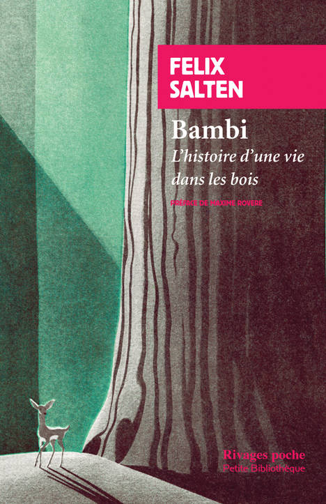 Livres Littérature et Essais littéraires Romans contemporains Etranger Bambi, L'histoire d'une vie dans les bois Félix Salten