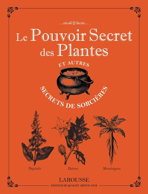 Livres Spiritualités, Esotérisme et Religions Esotérisme Le pouvoir secret des plantes et autres secrets de sorcières Michel Viard