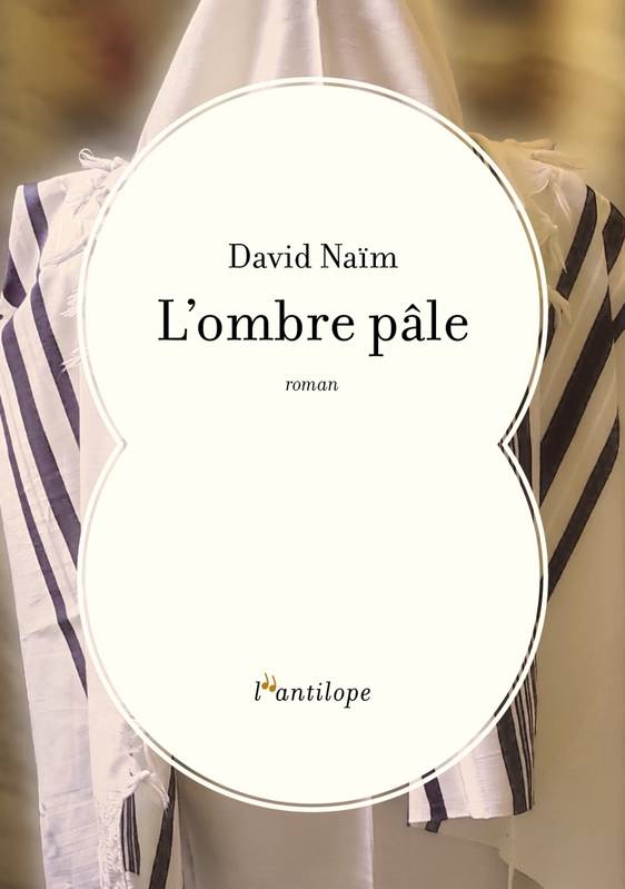Livres Littérature et Essais littéraires Romans contemporains Francophones L'ombre pâle David NAÏM