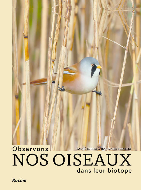 Livres Écologie et nature Nature Faune Observons nos oiseaux dans leur biotope, Plus de 200 espèces répertoriées André Burnel, Jean-Marie Poncelet