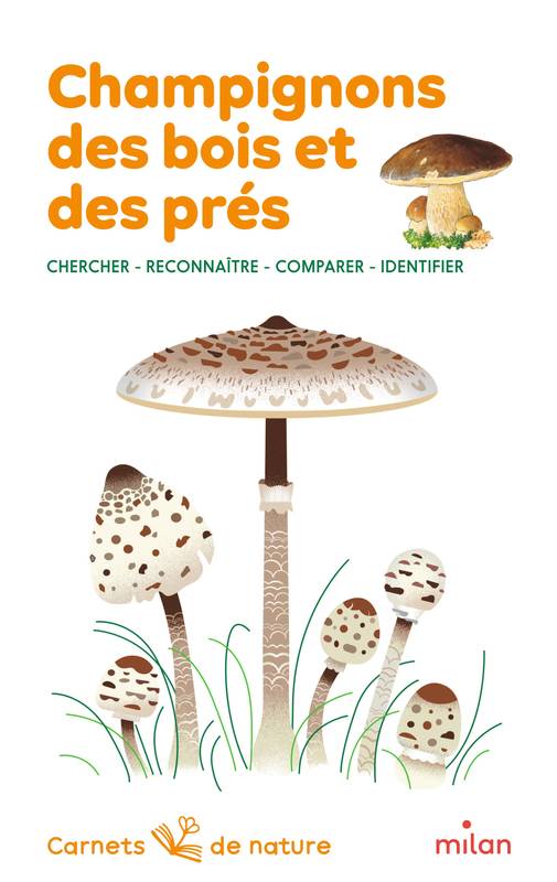 Champignons des bois et des prés