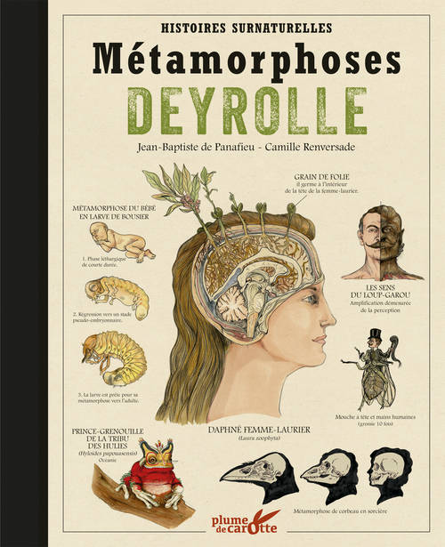 Livres Écologie et nature Nature Beaux Livres Métamorphoses Deyrolle - Histoires surnaturelles Jean-Baptiste de Panafieu, Camille Renversade