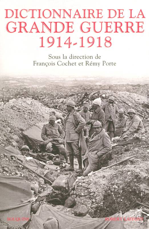 Livres Histoire et Géographie Histoire Première guerre mondiale Dictionnaire de la Grande guerre 1914-1918 François Cochet, Rémy Porte
