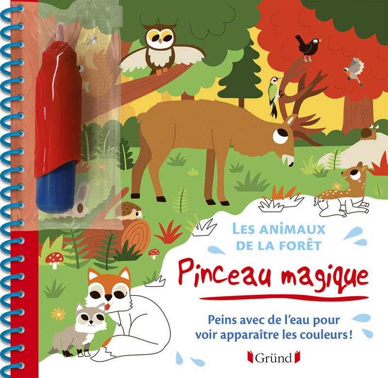 Livres Jeunesse Loisirs et activités Pinceau magique - Les animaux de la forêt Monsieur Dupont