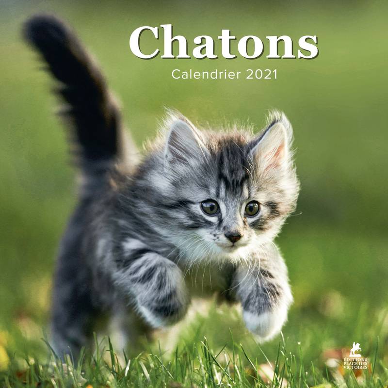 Chatons - Calendrier 2021