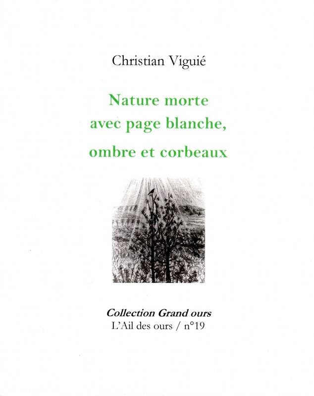Livres Littérature et Essais littéraires Poésie 19, Nature morte avec page blanche, ombre et corbeaux Christian Viguié