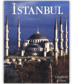 Livres Arts Beaux-Arts Peinture Istanbul Marie-France Auzepy, Gilles Veinstein, Stéphane Yerasimos, Alain Ducellier