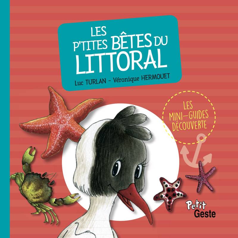 Les p'tites bêtes du littoral