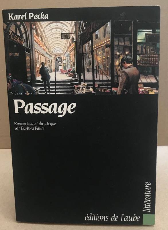 Passage, roman
