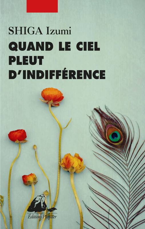 QUAND LE CIEL PLEUT D'INDIFFERENCE, Roman