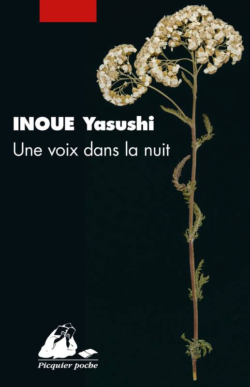 UNE VOIX DANS LA NUIT, Roman