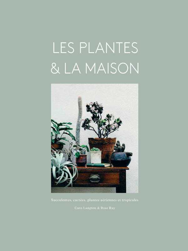 Les plantes & la maison, Succulentes, cactées, plantes aériennes et tropicales