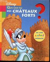 Que sais-tu des châteaux forts ?