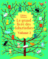 Le grand livre des labyrinthes - volume 2