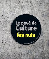 Le Pavé de culture générale Pour les Nuls