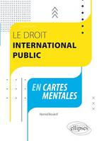 Le Droit international public en cartes mentales