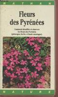 Fleurs des Pyrénées, comment identifier et observer les fleurs des Pyrénées (pâturages, forêts et haute montagne)