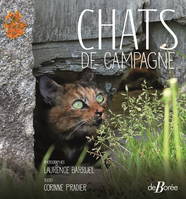 Chats de campagne