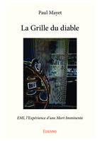 La Grille du diable, EMI, l’Expérience d’une Mort Imminente