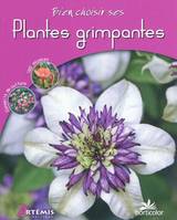 PLANTES GRIMPANTES - (H)