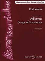 Adiemus - Songs of Sanctuary, Deux mouvements. flexible ensemble / school orchestra. Partition et parties.
